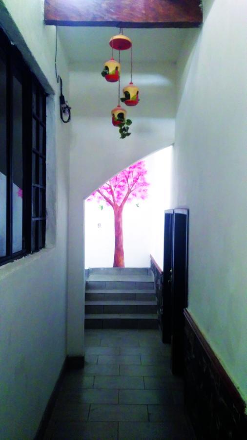 Hotel Falcon Tamasopo Luaran gambar